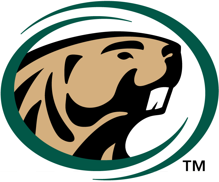 Bemidji State Beavers 2004-Pres Primary Logo diy fabric transfer